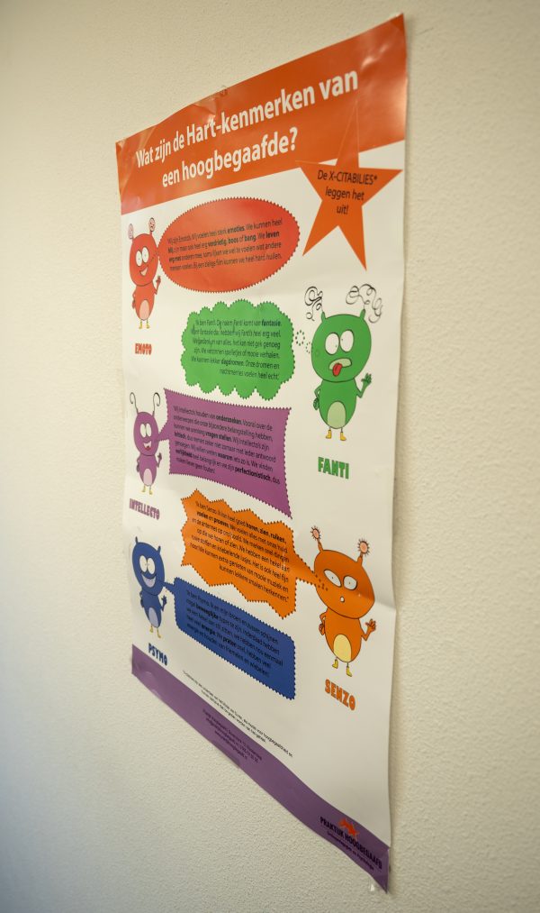 Poster X-citabillies (groot)